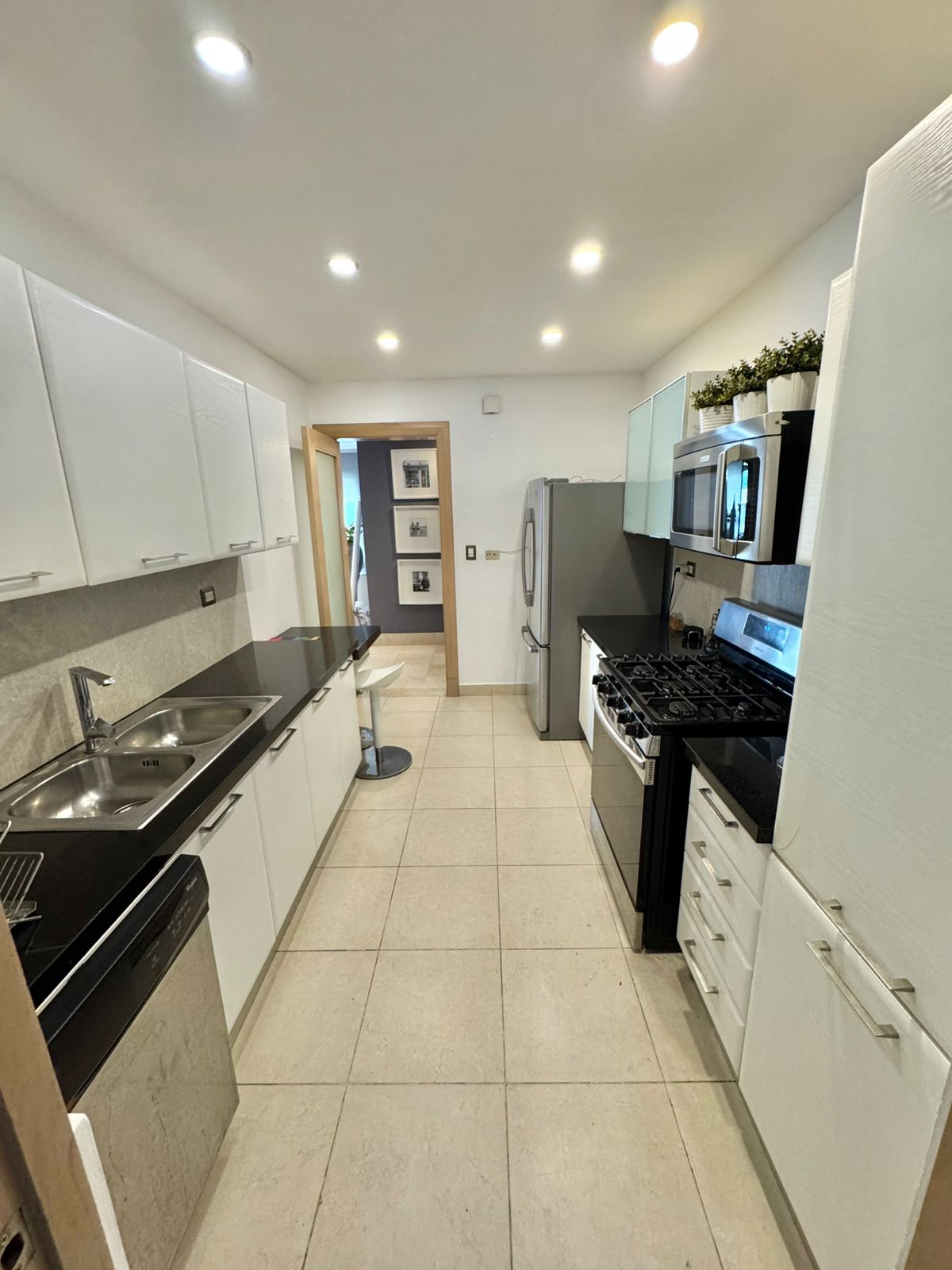 apartamentos - Alquilo apartamento amueblado en Piantini 4