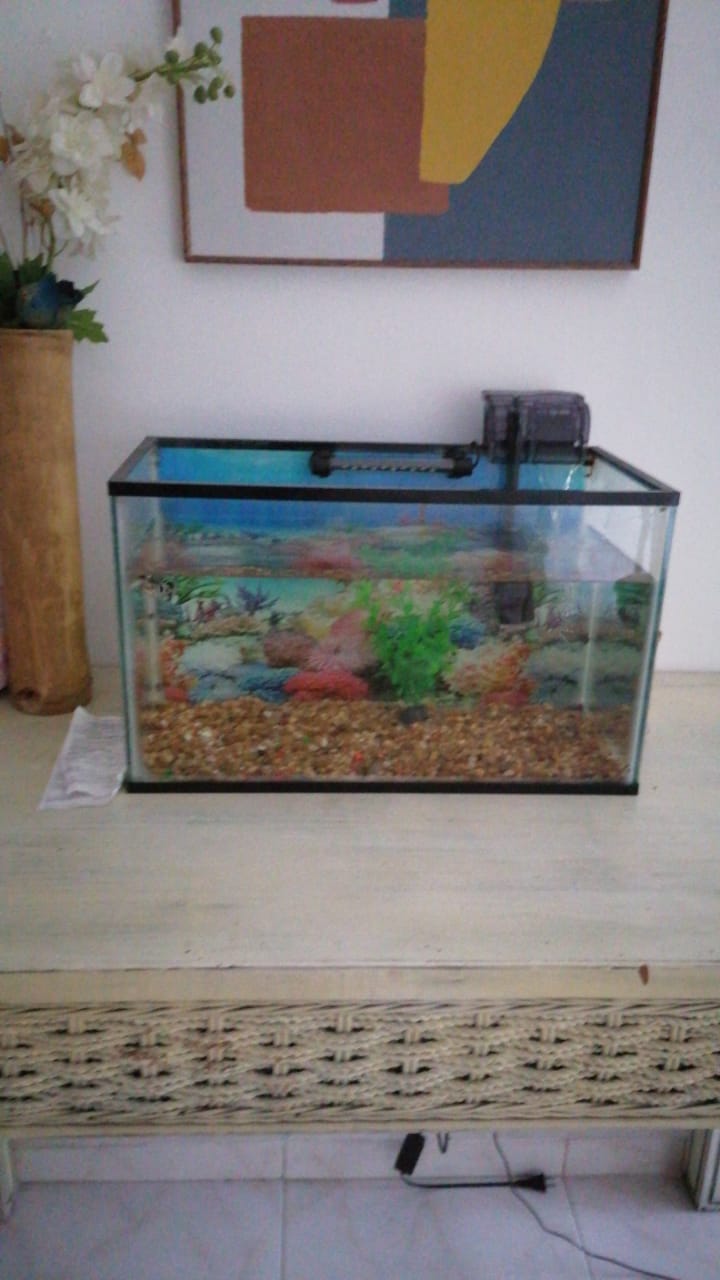 animales y mascotas - Pecera de 10gal marco negro 0