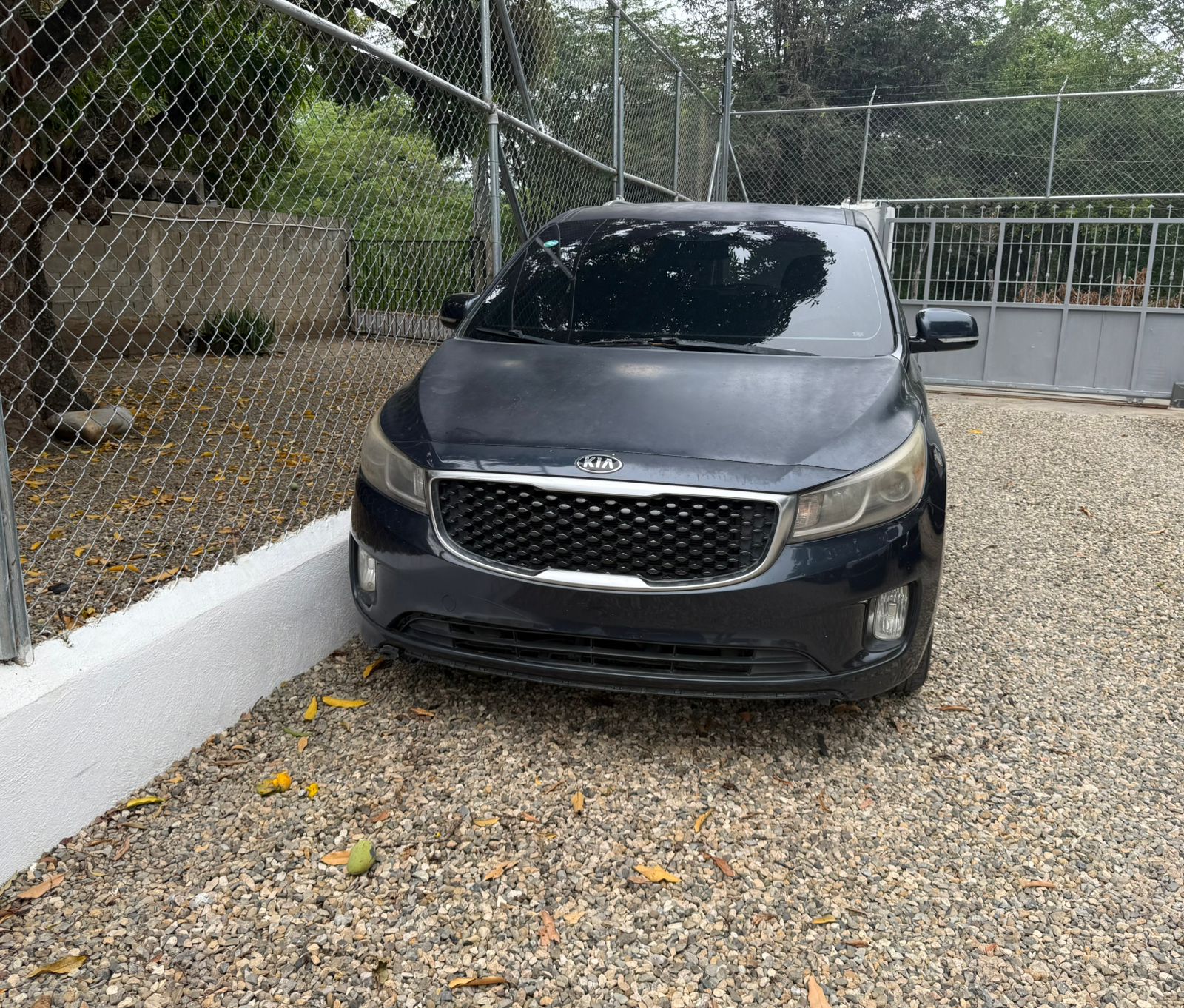 jeepetas y camionetas - kia sedona 2015 2