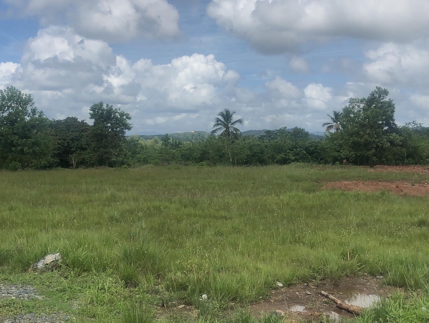 solares y terrenos - La caleta terreno comercial o industrial  0