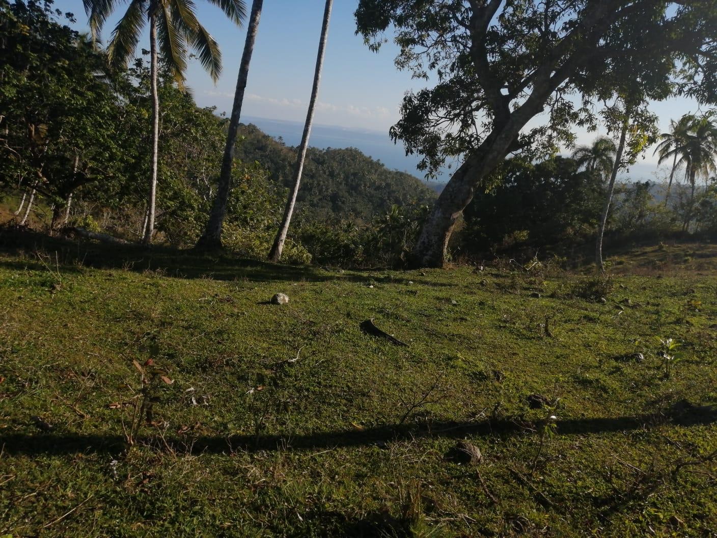 solares y terrenos - Venta-Terreno en Samana con vistas a la bahia de Samana 1