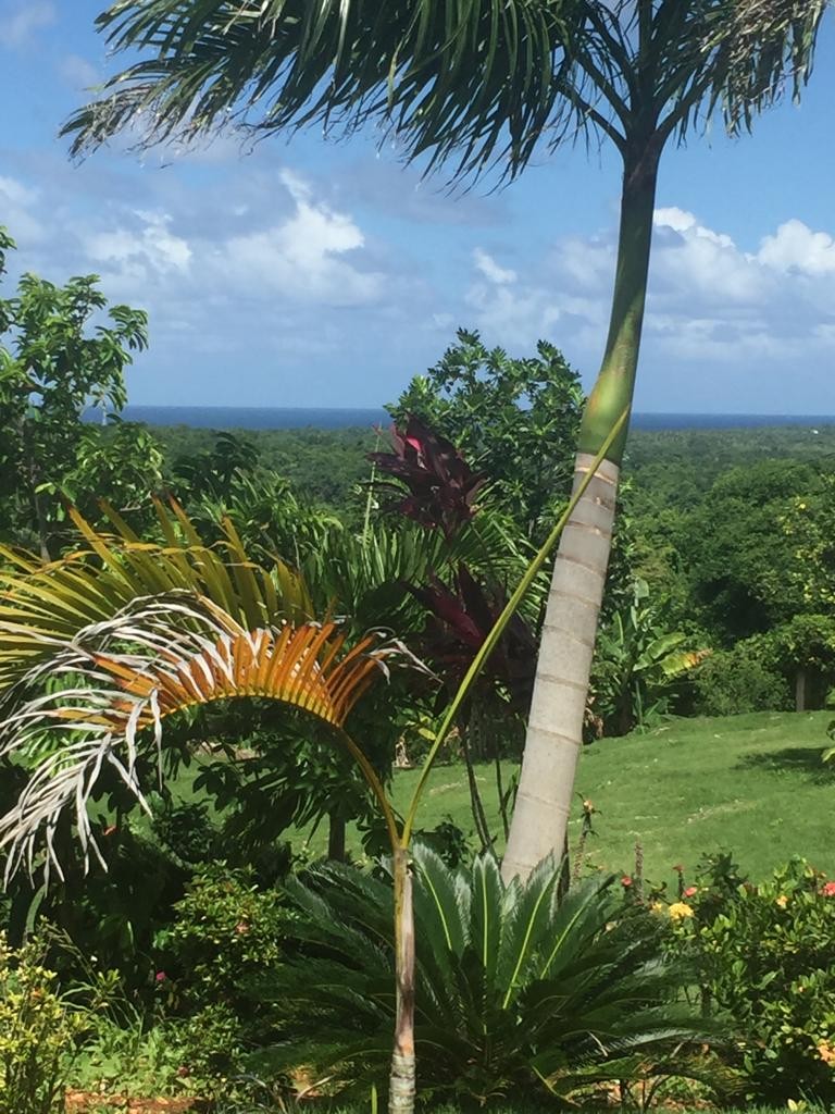 casas vacacionales y villas - terreno de oportunidades con 6700 m2 con villa y vista al mar 6