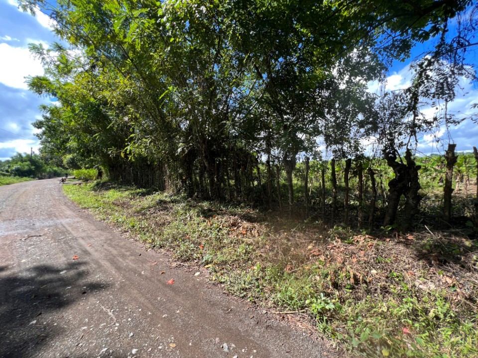 otros inmuebles - Finca en Venta en DAJAO 8