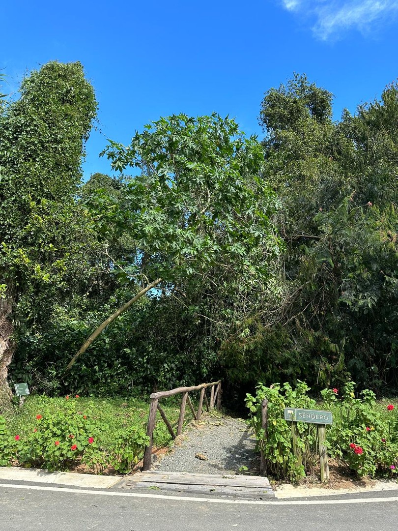 solares y terrenos - Colinas del Bosque, Solares Las Montañas de Constanza  1