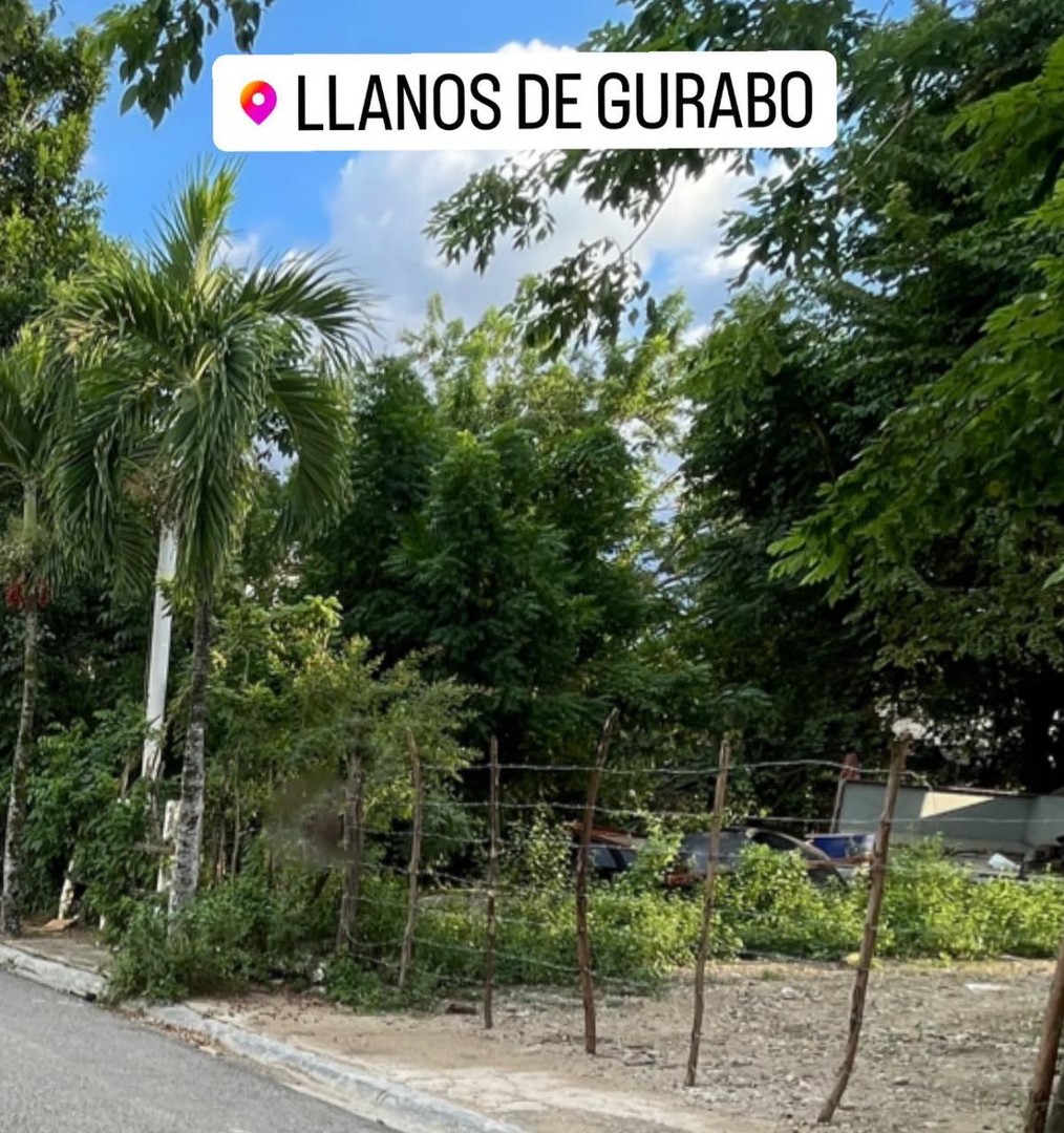 solares y terrenos - Terrenos en Llanos de Gurabo 0