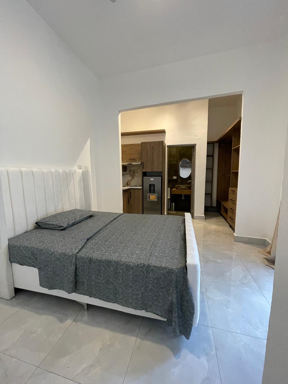 apartamentos - Alquiler, Estudio con Piscina, Zona Colonial 1