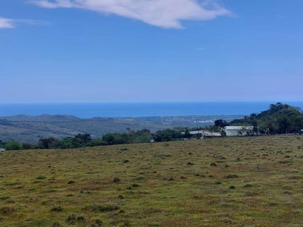 solares y terrenos - 🌳 Terrenos en Venta – Sabana del Corozo, El Cupey 2