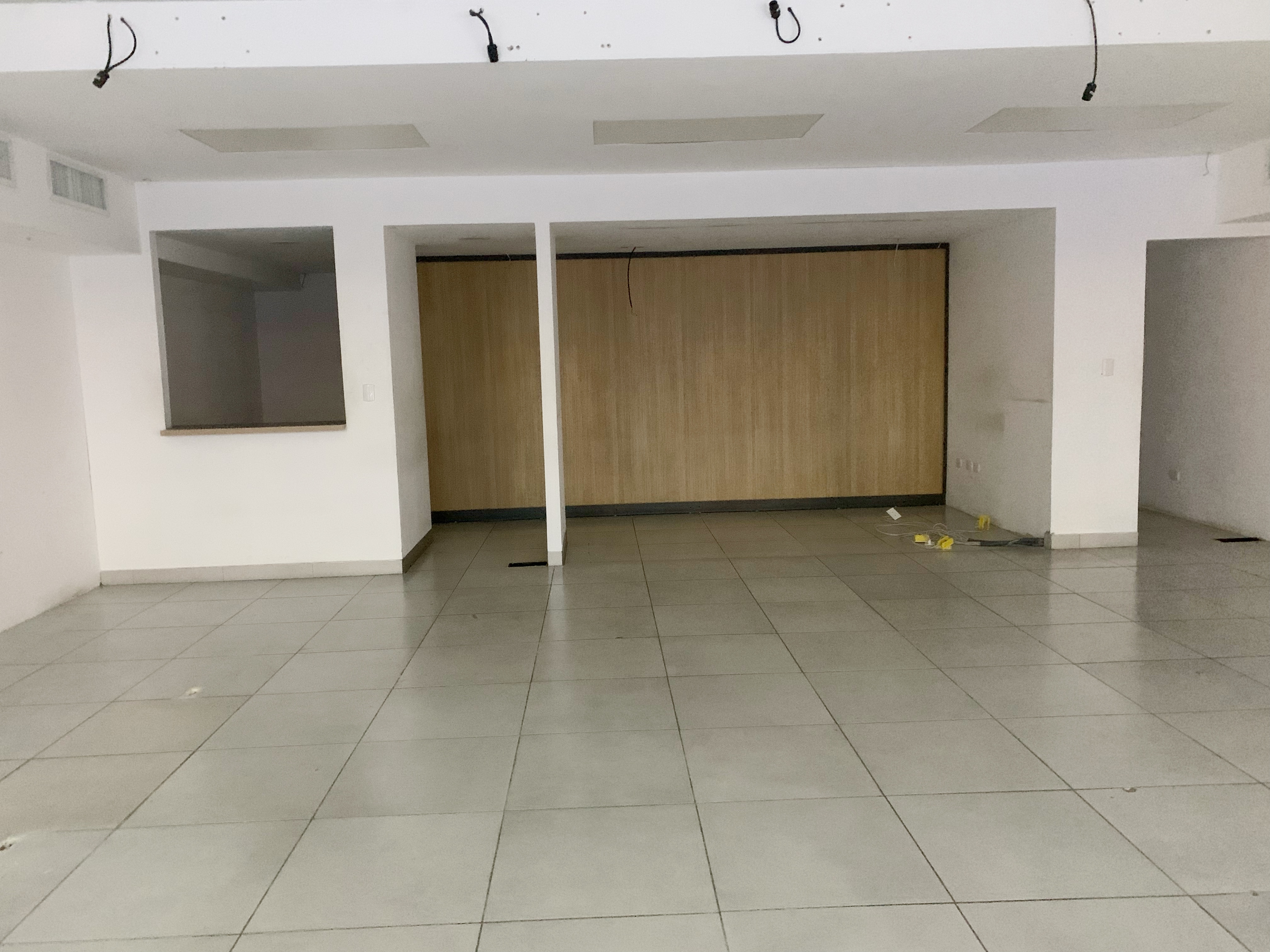 oficinas y locales comerciales - Local Piantini primer nivel 2