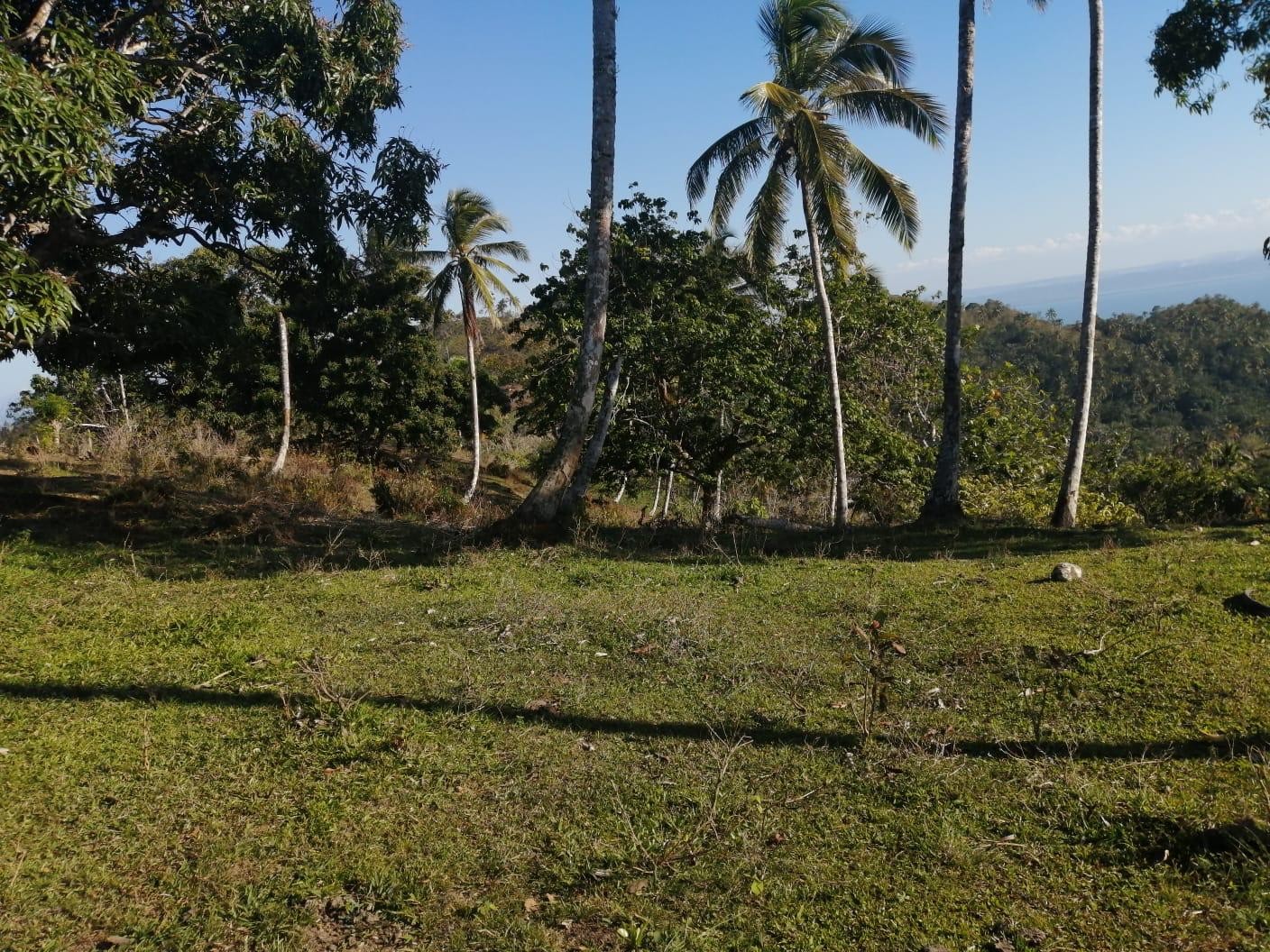 solares y terrenos - Venta-Terreno en Samana con vistas a la bahia de Samana 5