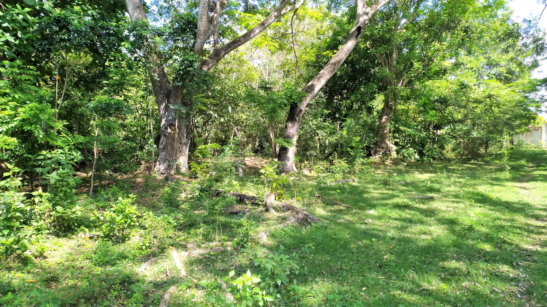 solares y terrenos - Solar terreno en venta Nigua, Haina, san Cristóbal, LA ZONA FRANCA DE NIGUA 1