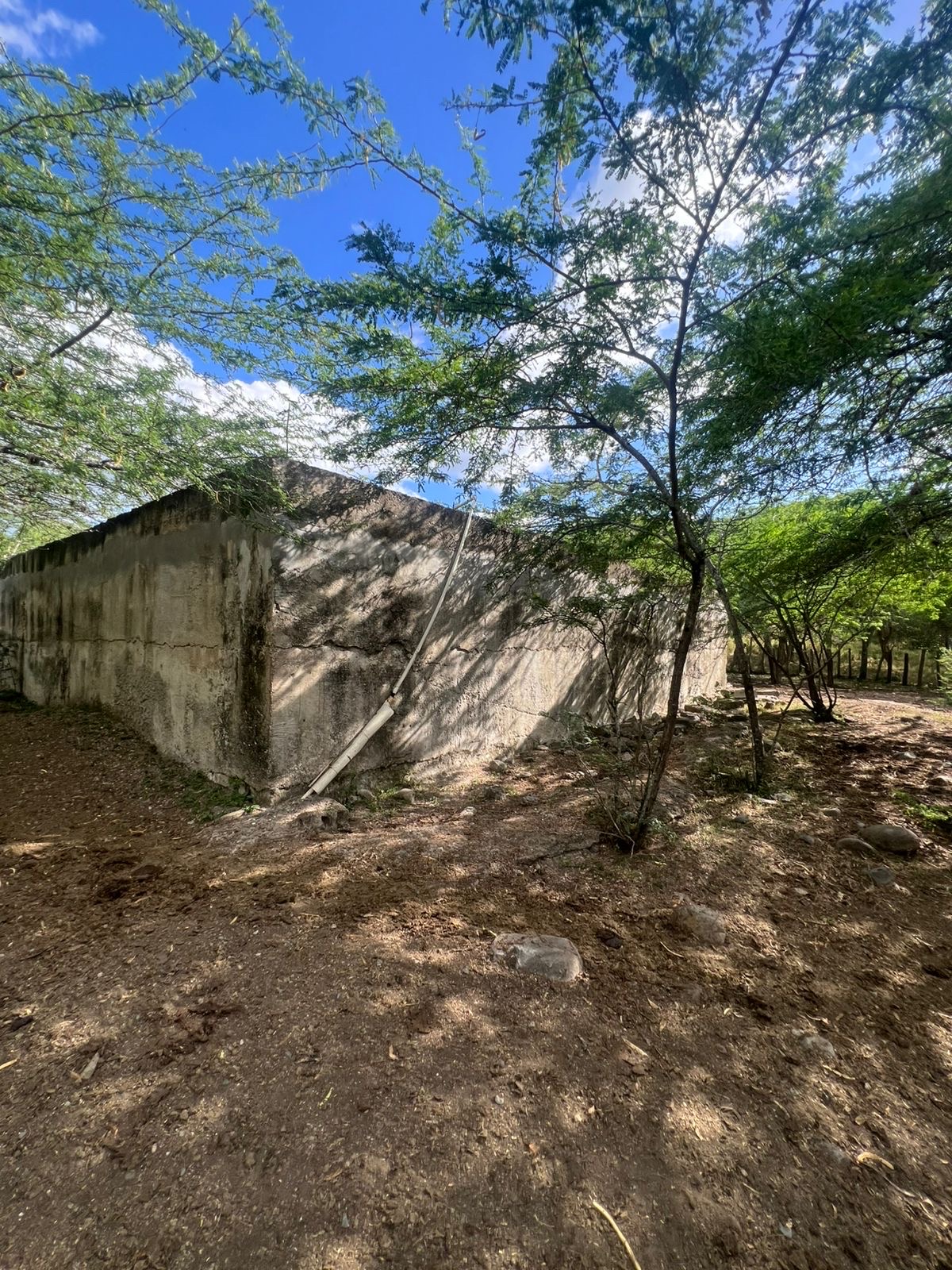 solares y terrenos - finca en Sajoma San José de las matas  8