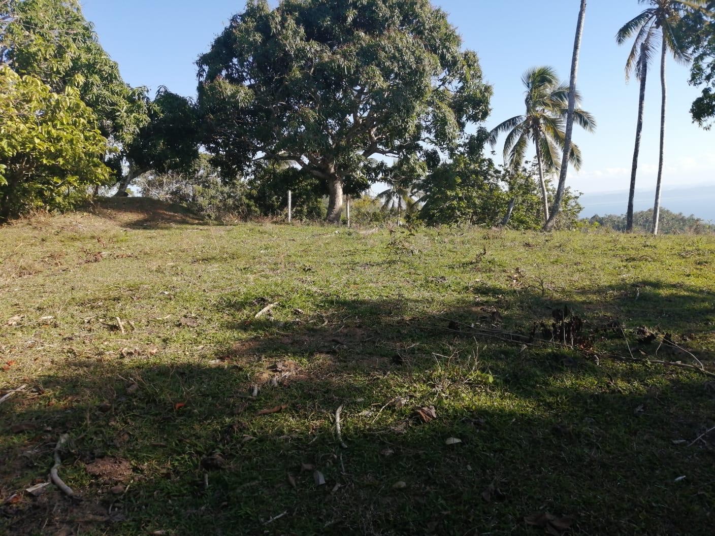 solares y terrenos - Venta-Terreno en Samana con vistas a la bahia de Samana 2