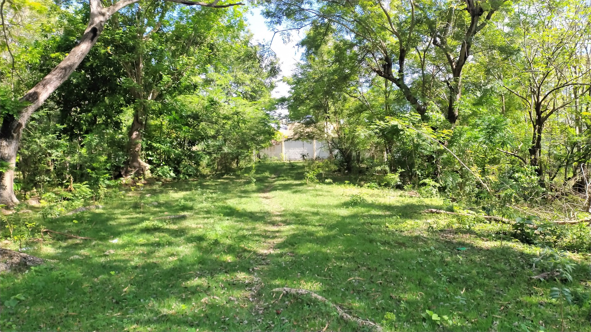 solares y terrenos - Solar terreno en venta Nigua, Haina, san Cristóbal, LA ZONA FRANCA DE NIGUA 2