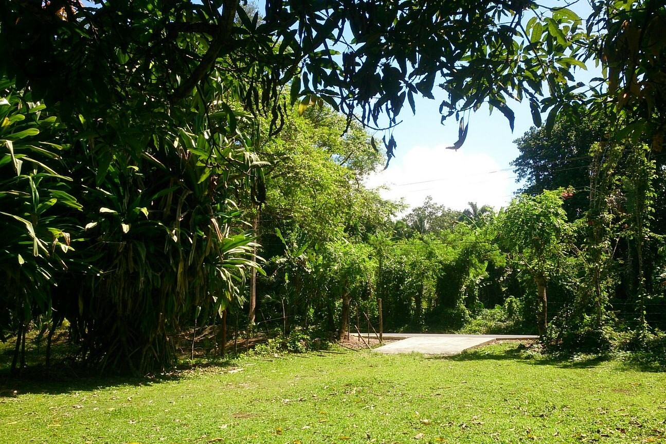 solares y terrenos -  finca con su titulo, terreno cun muchos arboles frutales  4