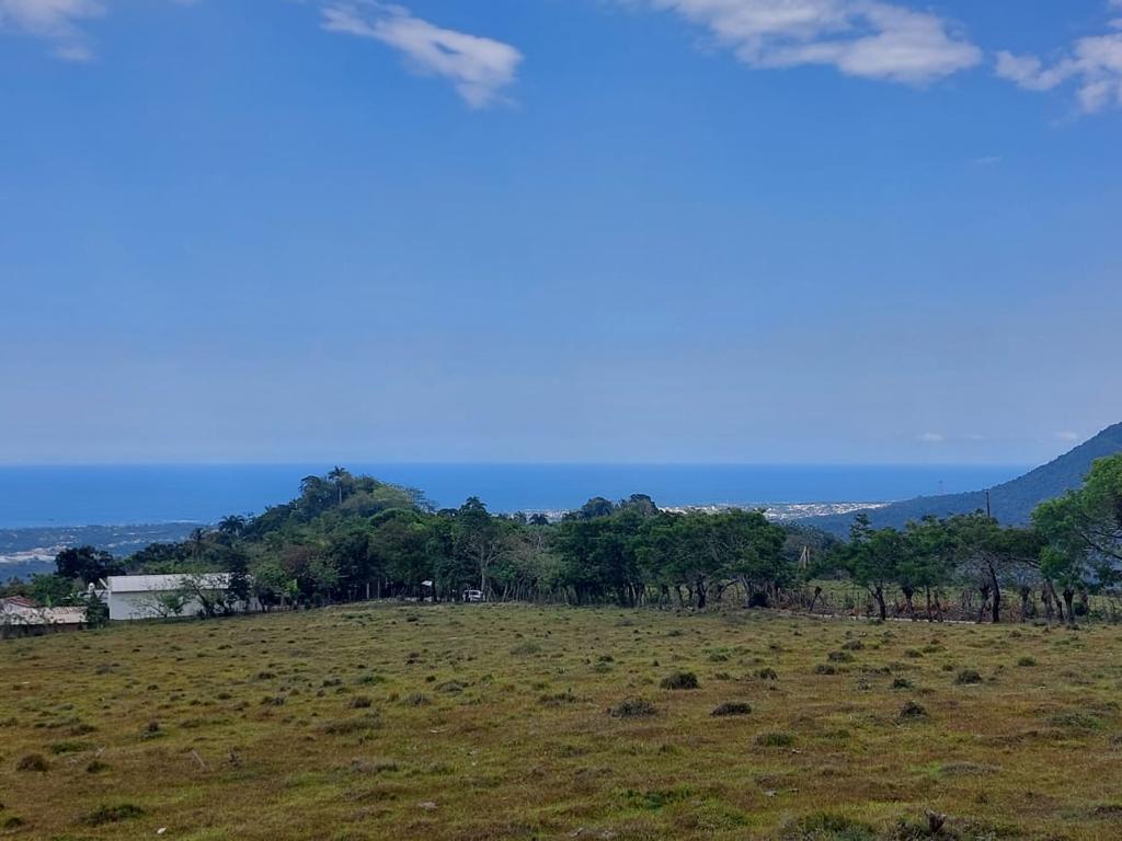 solares y terrenos - 🌳 Terrenos en Venta – Sabana del Corozo, El Cupey