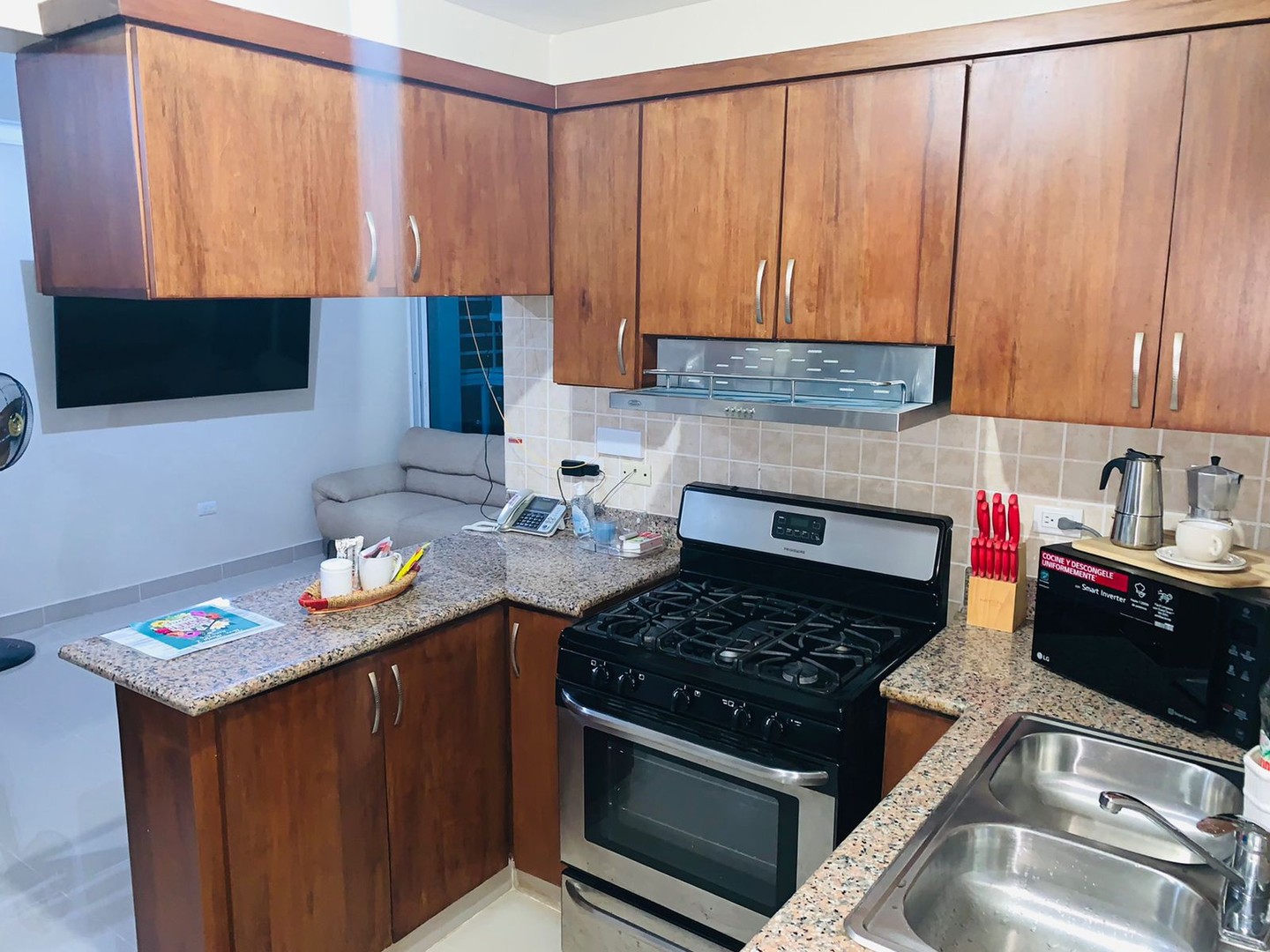 apartamentos - Se Renta Apartamento Amueblado en Villa Olga  4
