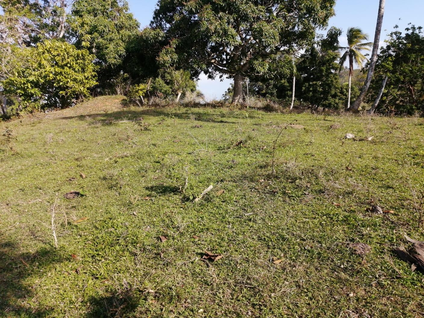 solares y terrenos - Venta-Terreno en Samana con vistas a la bahia de Samana 3