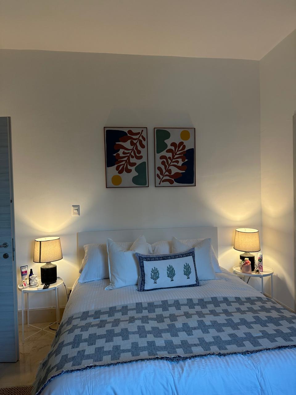 apartamentos - apartamento en alquiler amueblado en Naco 6