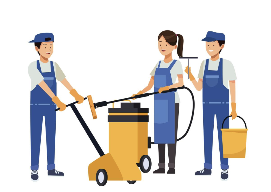 servicios profesionales - Necesitas: Domestica a domicilio, Llamame para Limpieza profesional!! 0