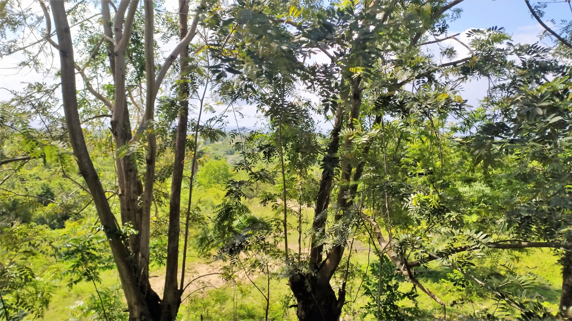 solares y terrenos - Solar terreno en venta Nigua, Haina, san Cristóbal, LA ZONA FRANCA DE NIGUA 3