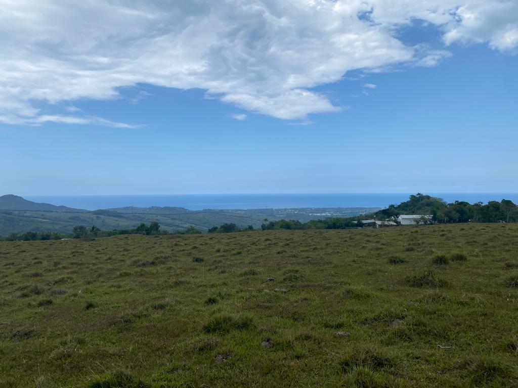 solares y terrenos - 🌳 Terrenos en Venta – Sabana del Corozo, El Cupey 1