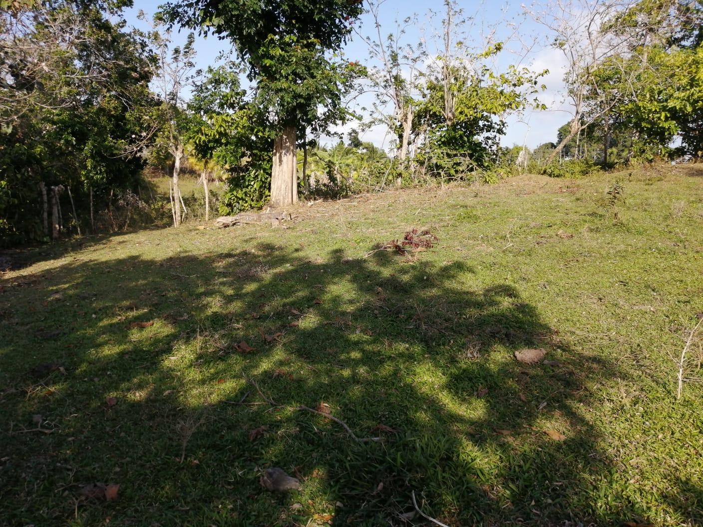 solares y terrenos - Venta-Terreno en Samana con vistas a la bahia de Samana 4