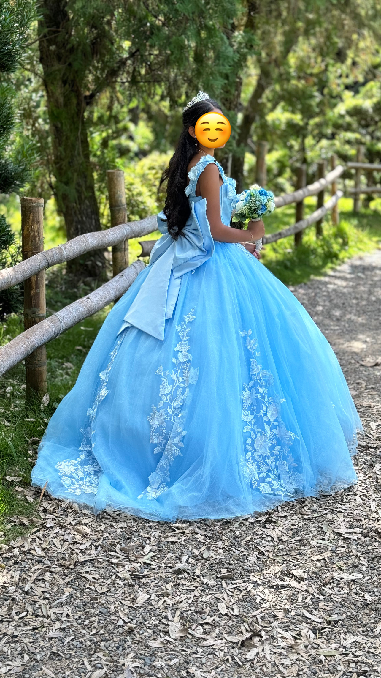 ropa para mujer - Vestido Quinceaños 2