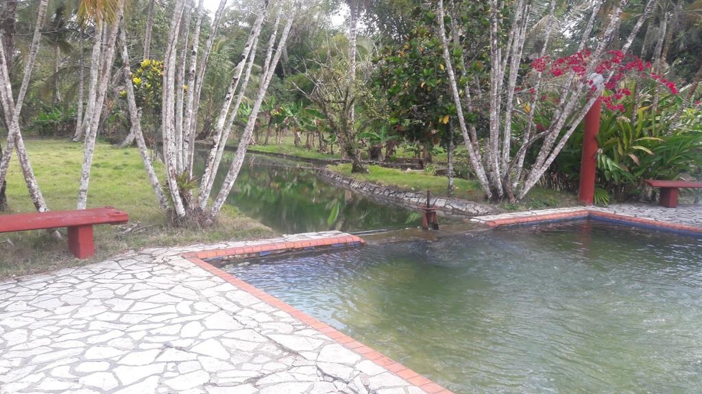 solares y terrenos - FINCA PAPELES AL DÍA EN MONTE PLATA CON ADFALTO Y AGUA PROPIA  0