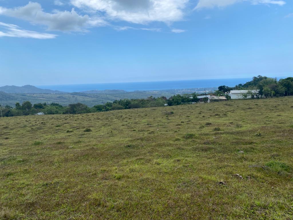 solares y terrenos - 🌳 Terrenos en Venta – Sabana del Corozo, El Cupey 3