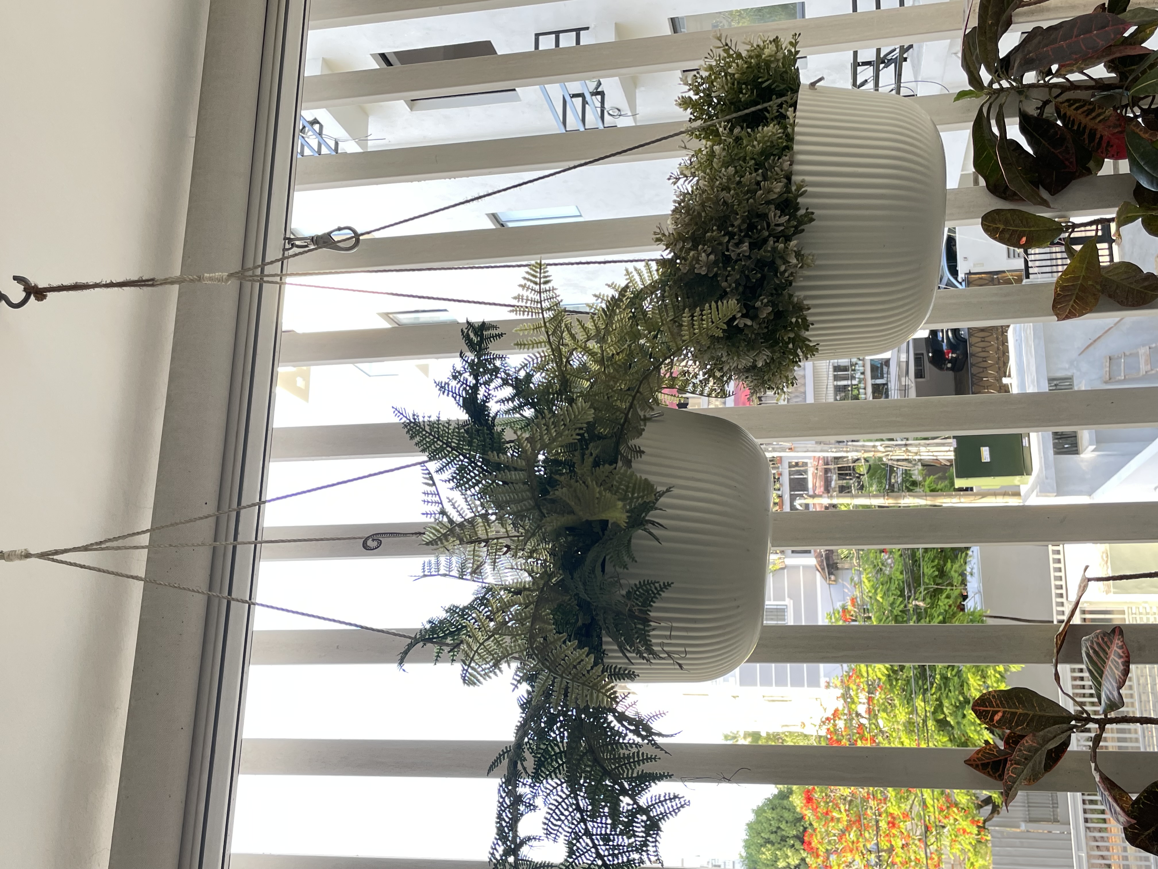 decoración y accesorios - vendo tarros colgantes 1