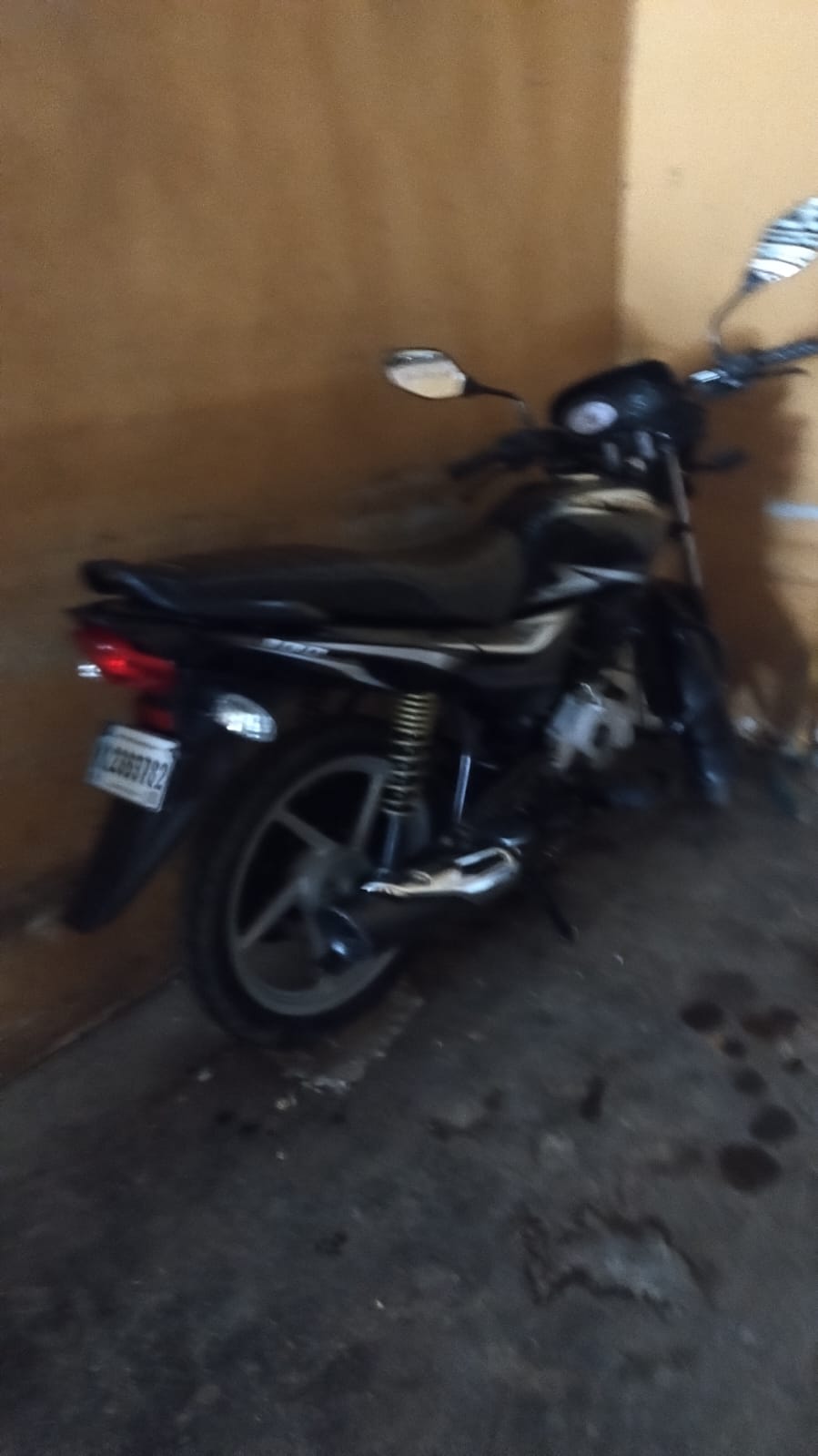 motores y pasolas - Motor baja platino años 2023 1