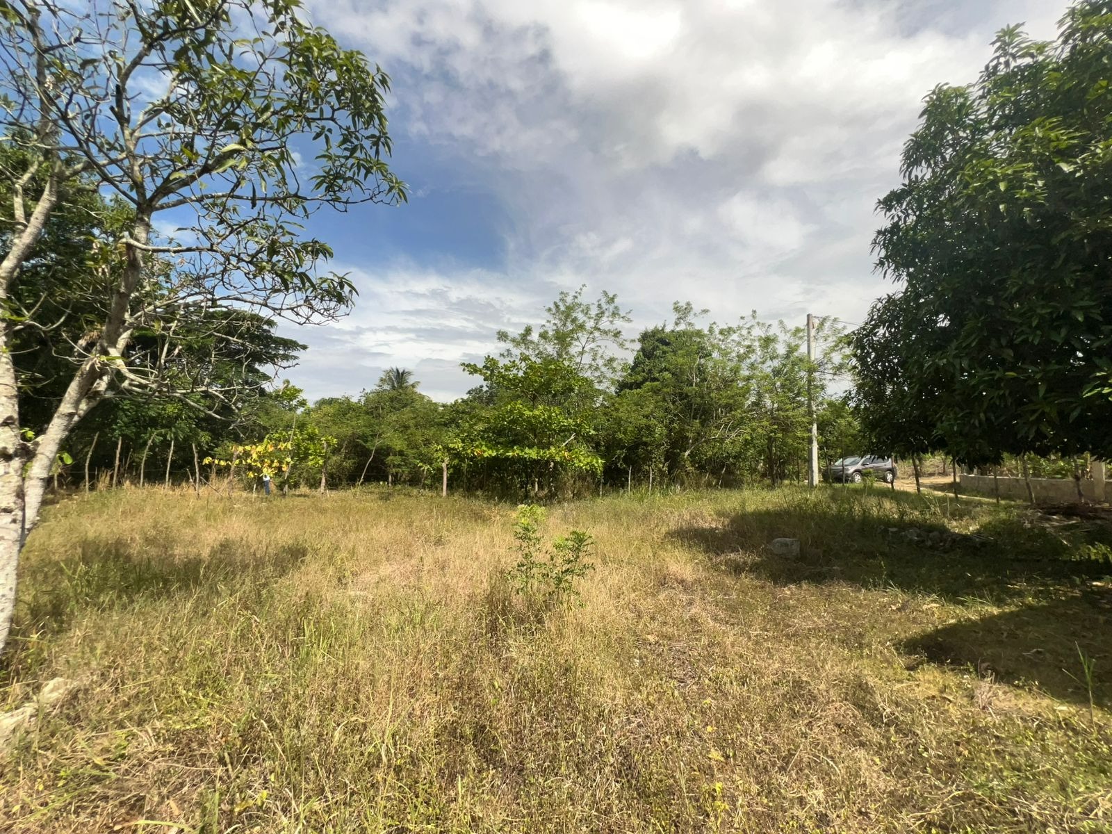solares y terrenos - Solar de Venta en Carretera Puñal 2