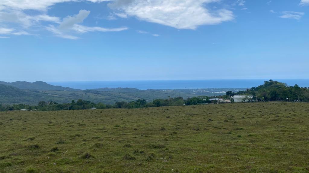 solares y terrenos - 🌳 Terrenos en Venta – Sabana del Corozo, El Cupey 4