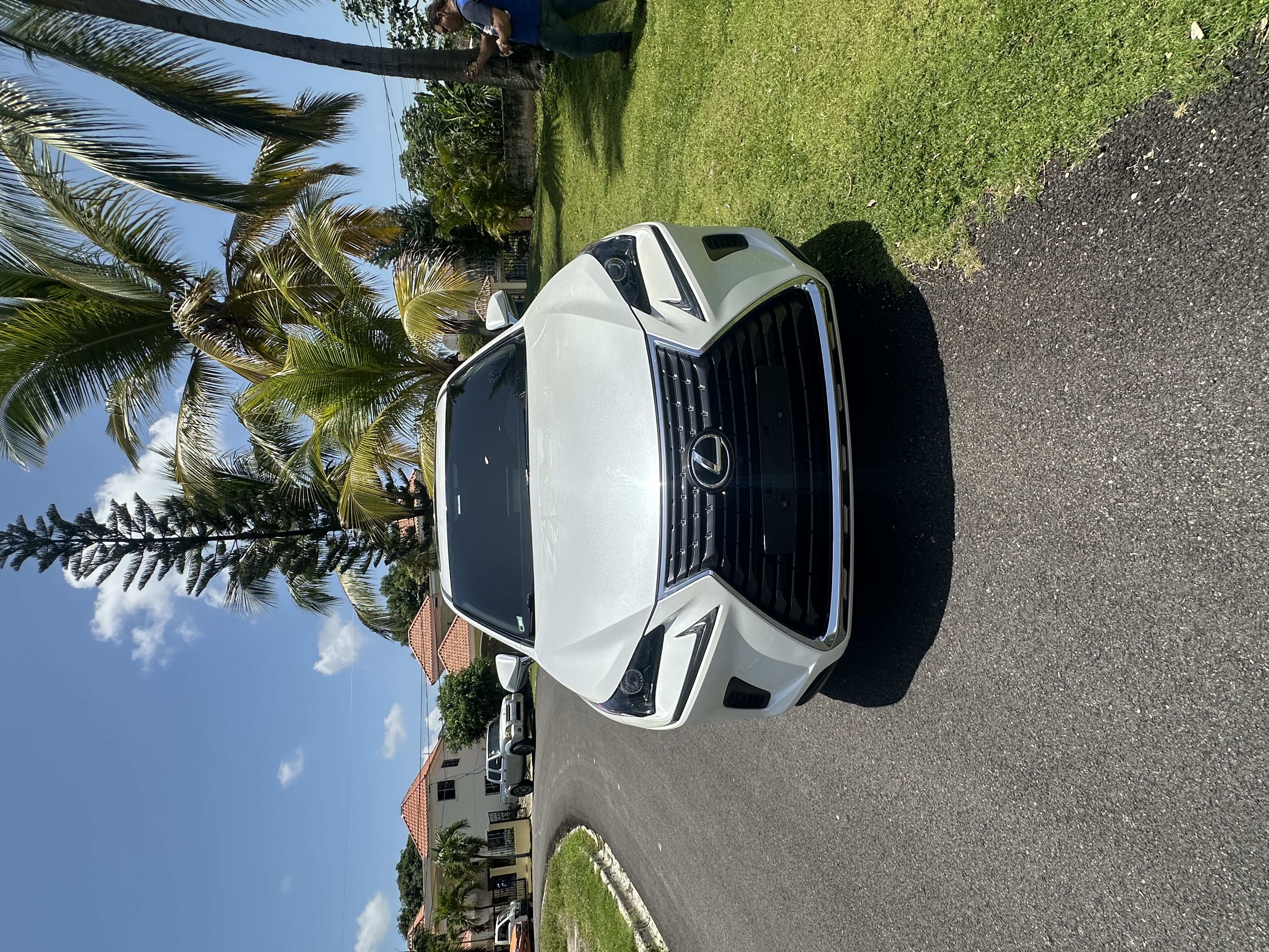 jeepetas y camionetas - Lexus nx300 4x4 6