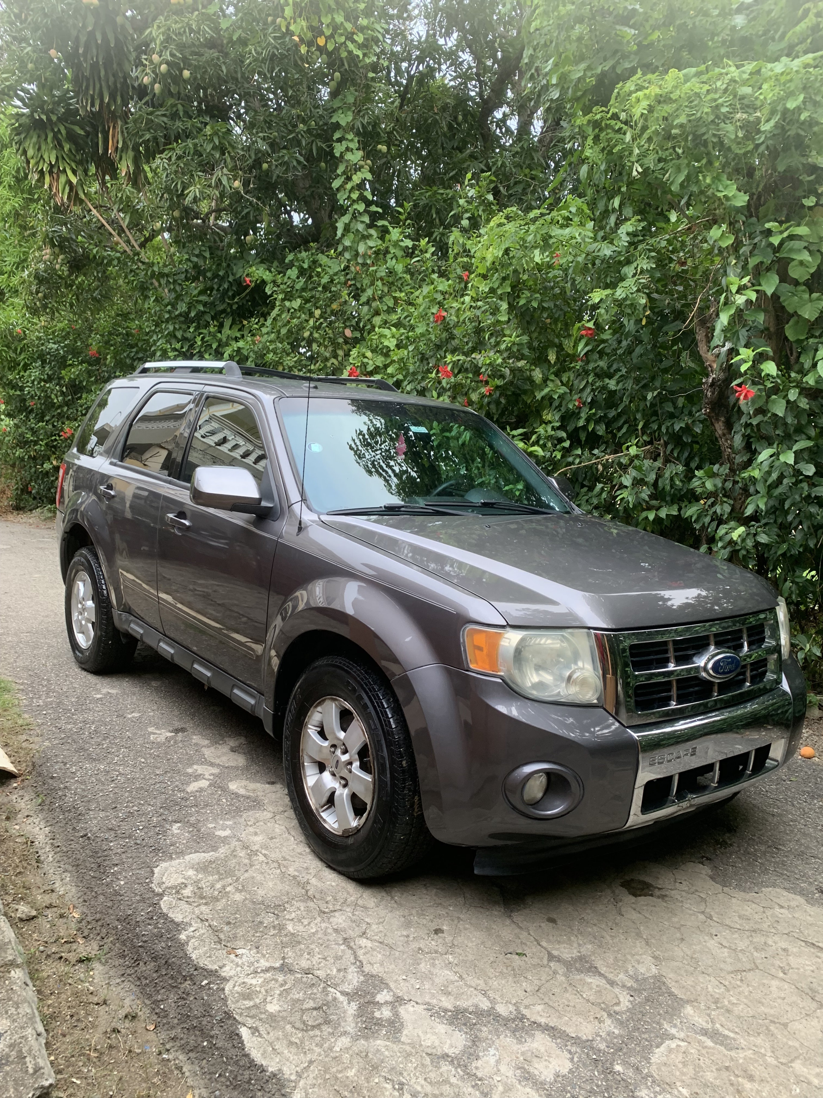 jeepetas y camionetas - Ford escape 2010 