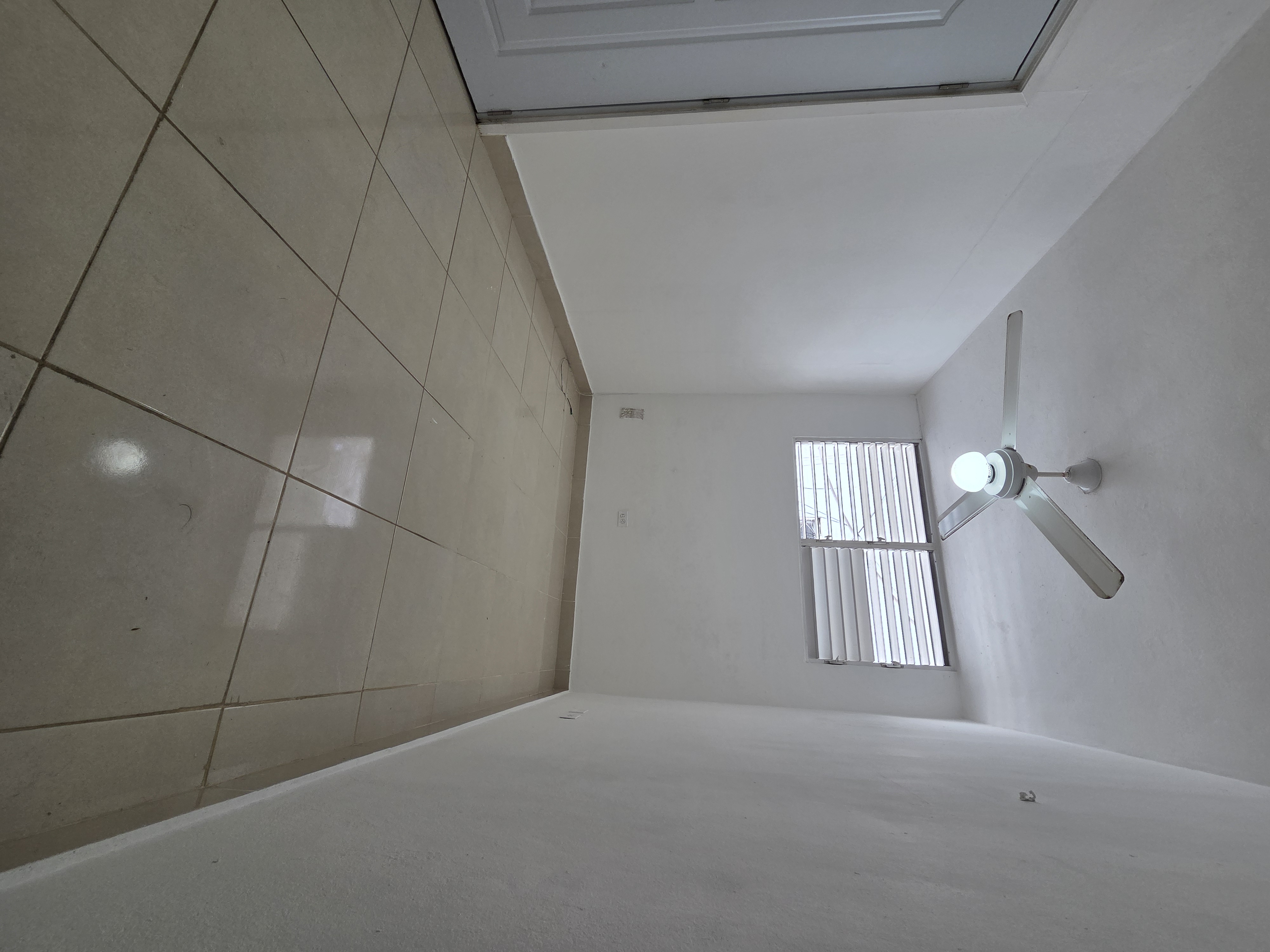 apartamentos - Alquiler para dama Zona Universitaria 15,500 1hab  3