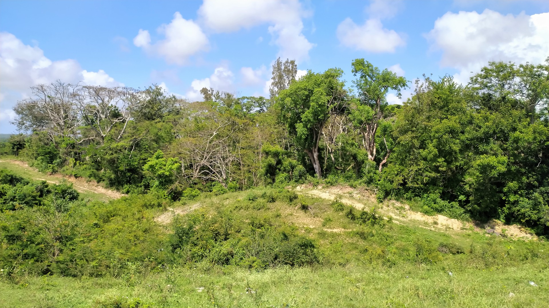 solares y terrenos - Solar terreno en venta Nigua, Haina, san Cristóbal, LA ZONA FRANCA DE NIGUA 7