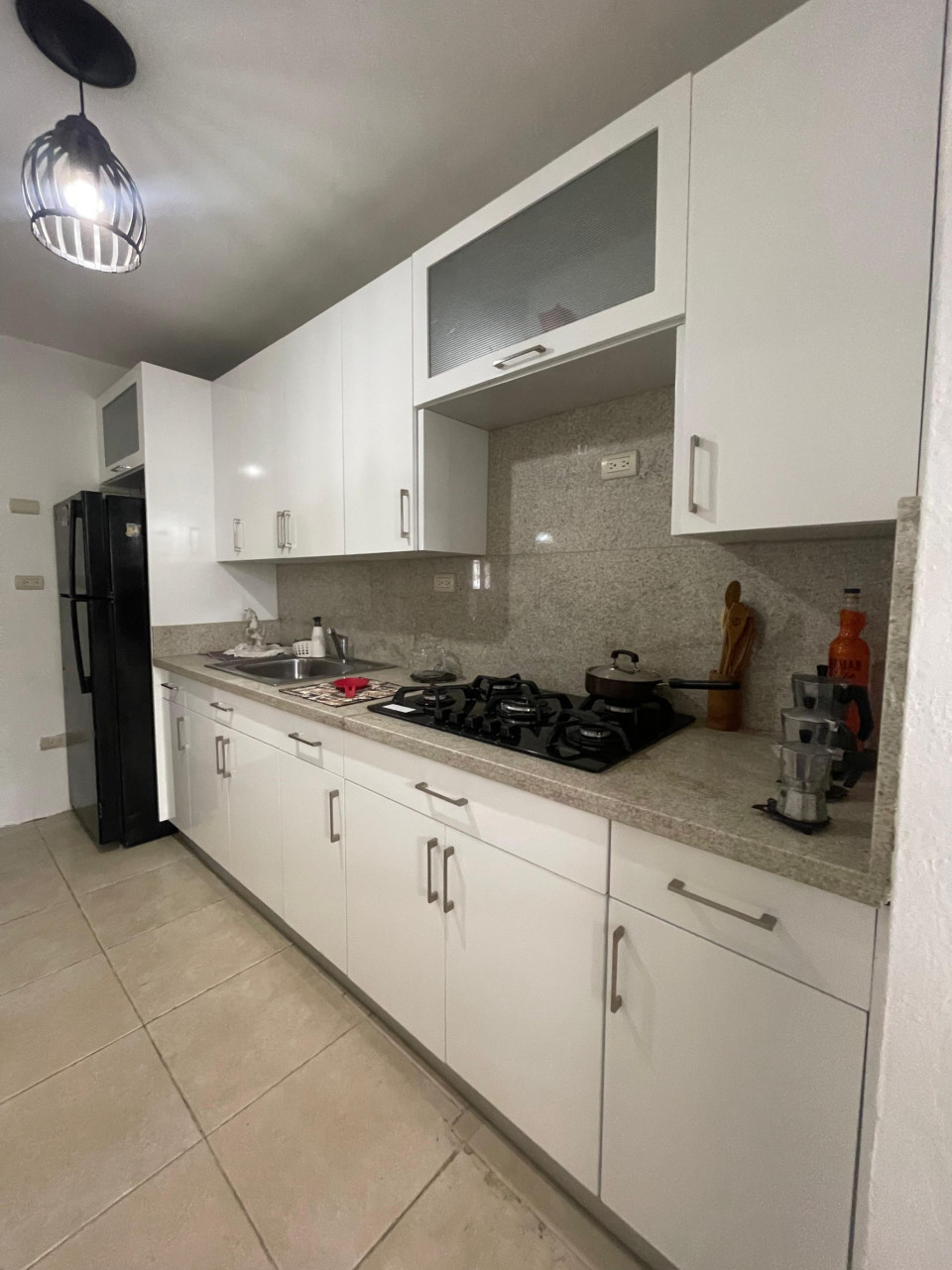 casas - Apartamento en LAS DIANAS SANTIAGO 0