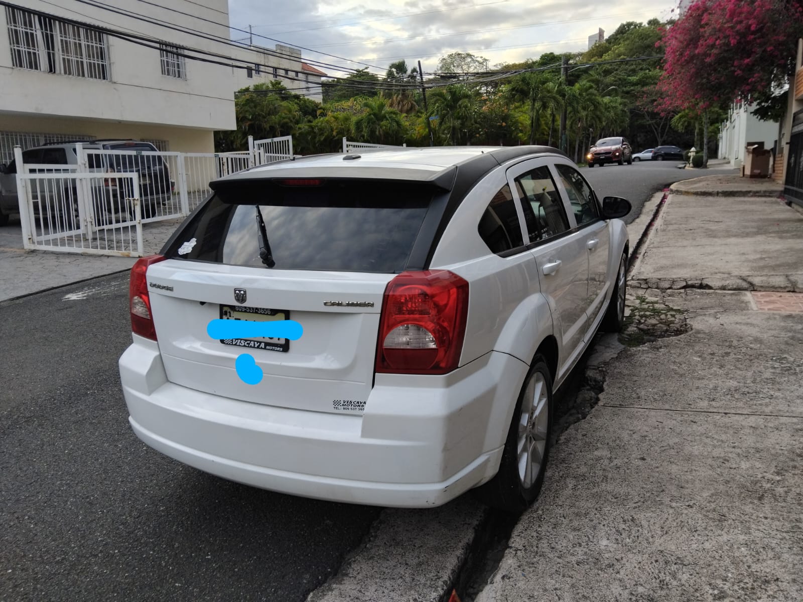 jeepetas y camionetas - DODGE CALIBER 2