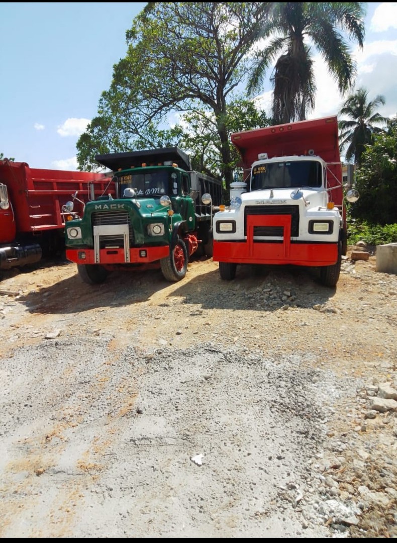 camiones y vehiculos pesados - Camion Mack DM 2