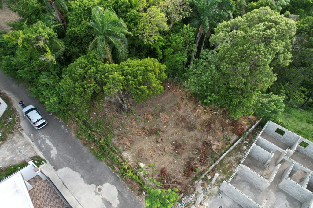 solares y terrenos - TERRENO EN TORRE ALTA, PUERTO PLATA 2