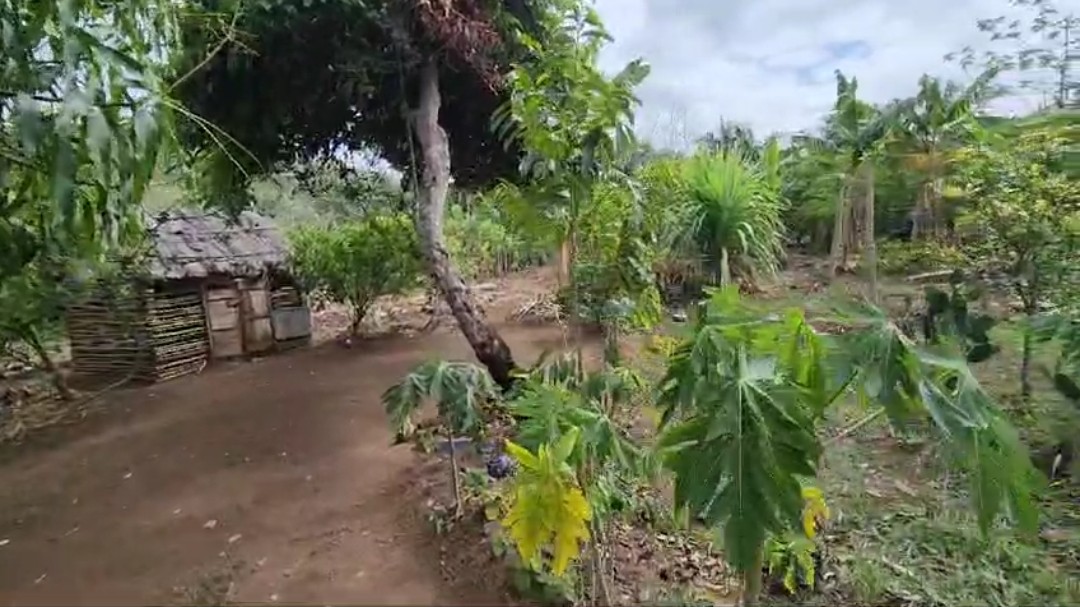 solares y terrenos - Vendo terreno con 15 tareas de tierra Con su Título. 5
