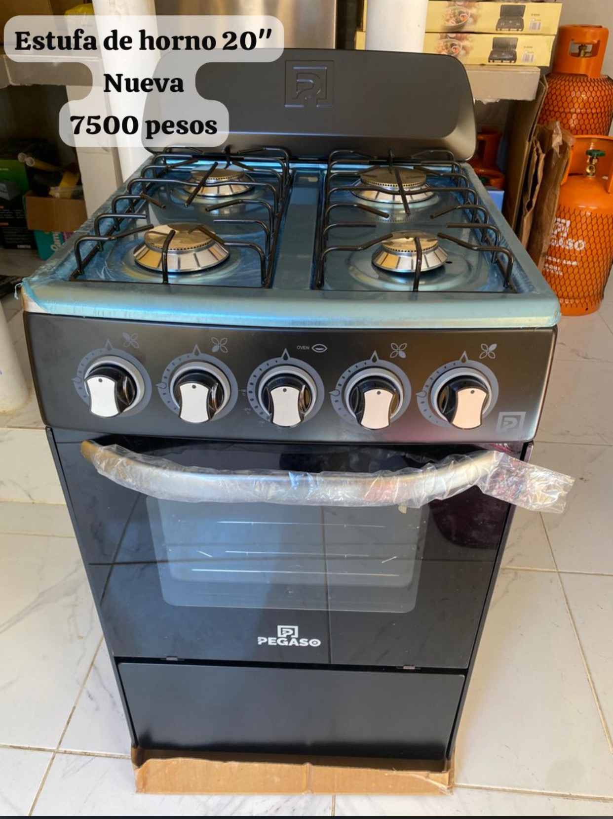cocina - Estufa de horno 20" Pegaso 0