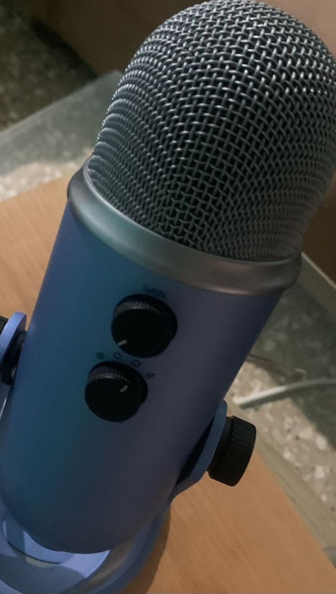 camaras y audio - Microphone  1
