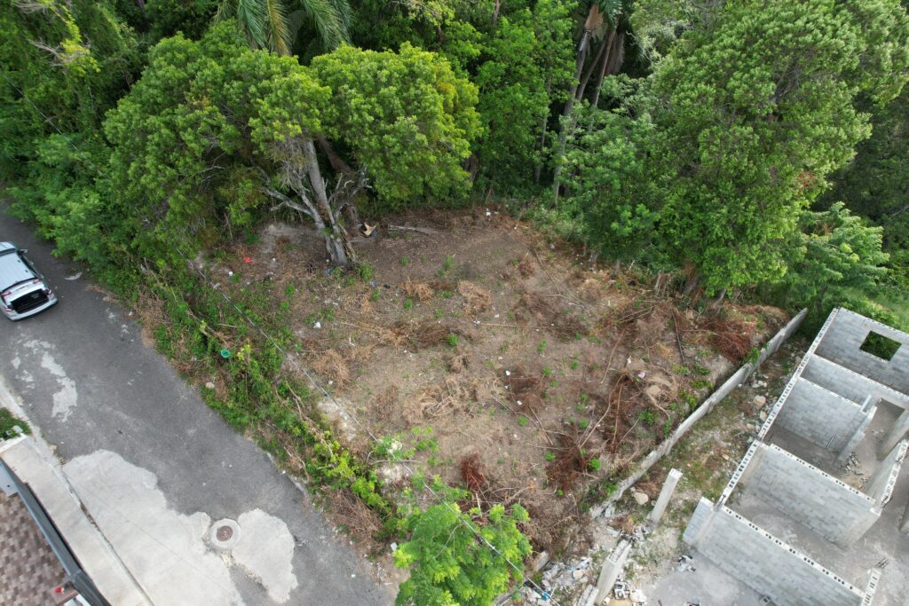 solares y terrenos - TERRENO EN TORRE ALTA, PUERTO PLATA 3