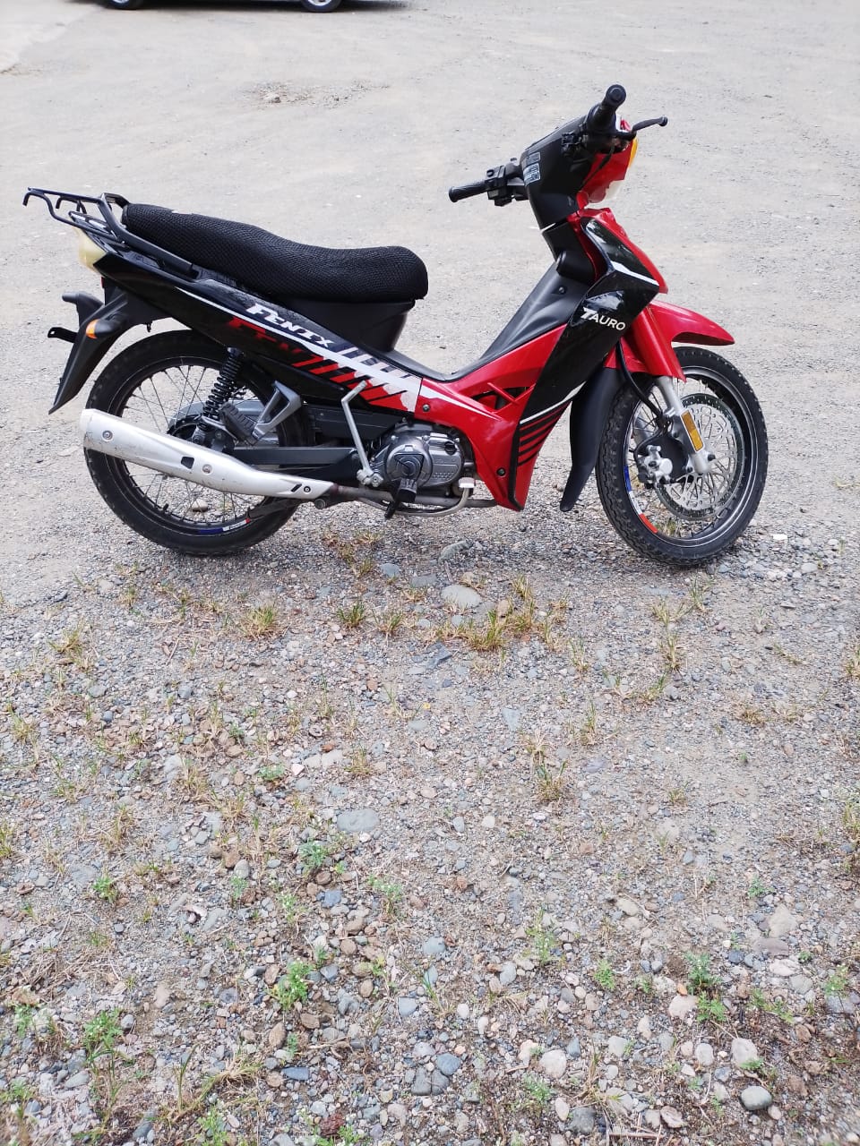 motores y pasolas - Motor Fenix Tauro 110 4