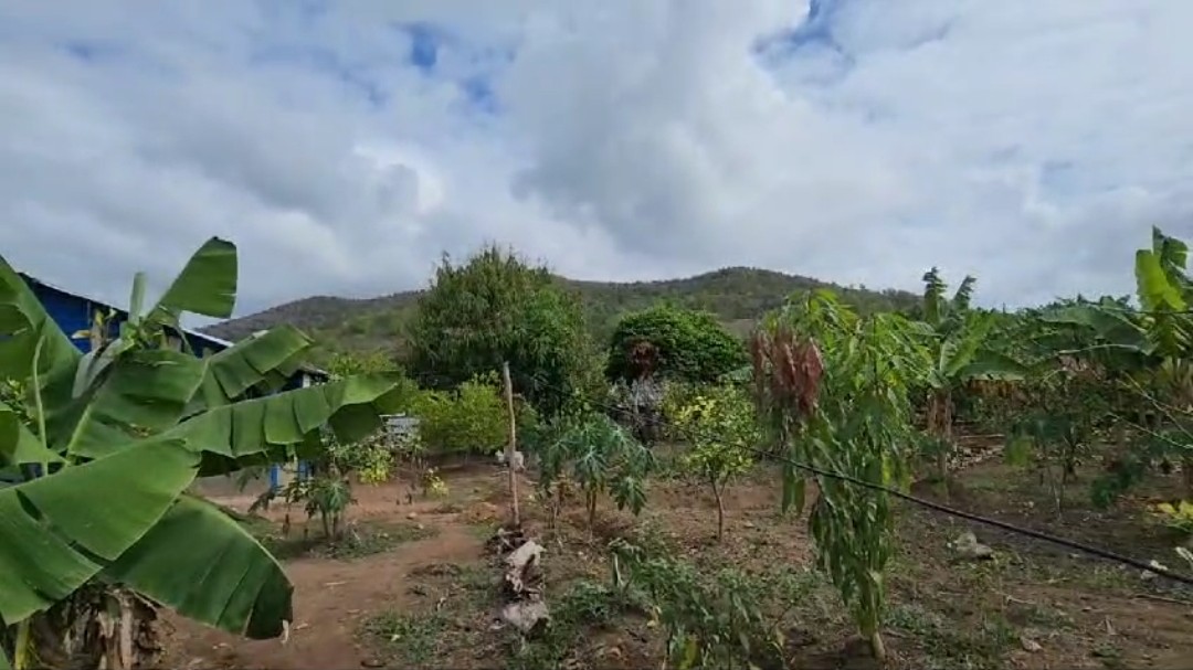 solares y terrenos - Vendo terreno con 15 tareas de tierra Con su Título. 6