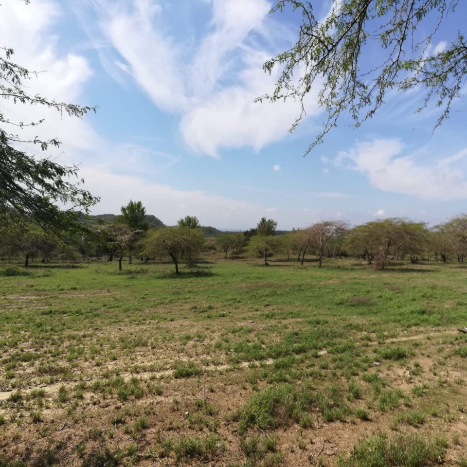 solares y terrenos - TERRENO EN MONTE CRISTI 1