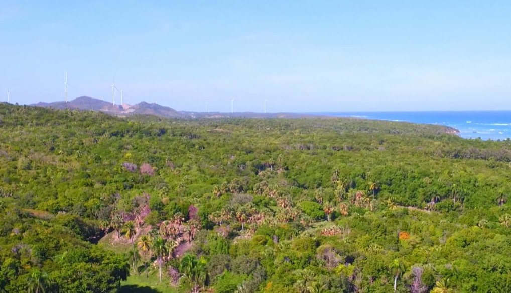 solares y terrenos - TERRENO DE VENTA EN MAIMÓN, PUERTO PLATA 2
