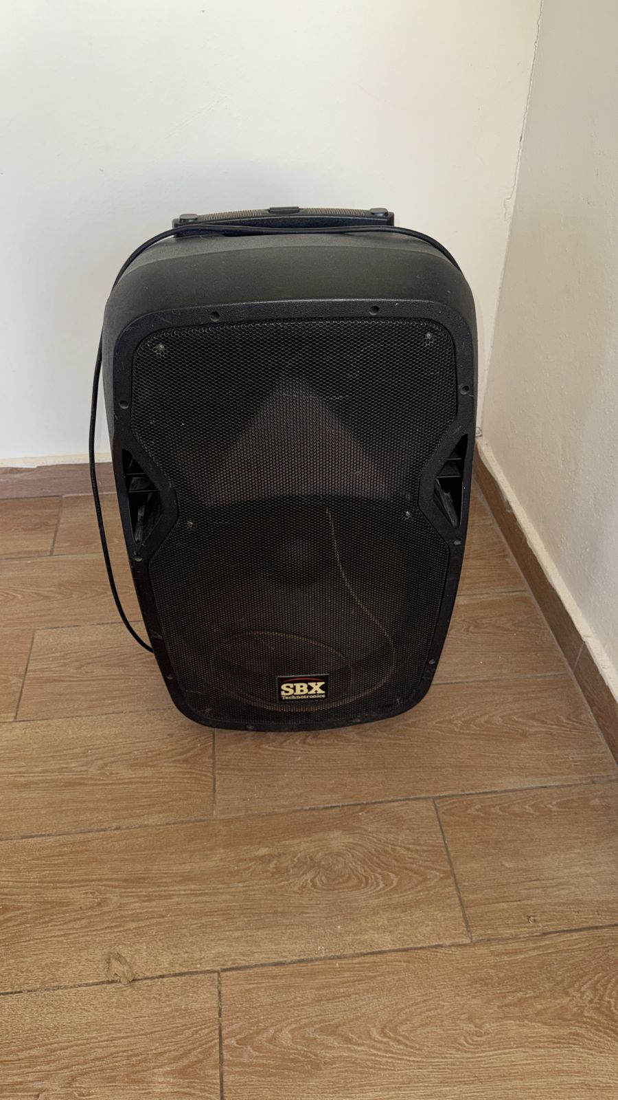 camaras y audio - Bocina Grande 